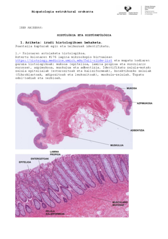 1-fitxa-sarrera-eta-nekrosis-vs-HZP-2021-22.pdf