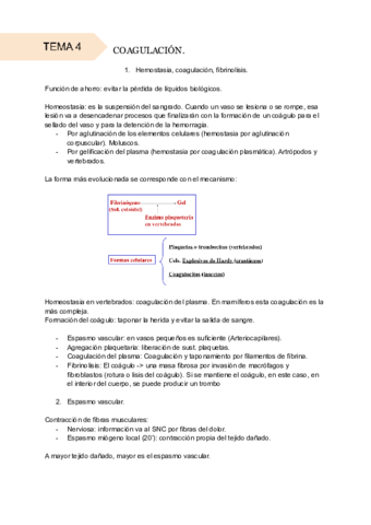 Tema-4-COAGULACION.pdf