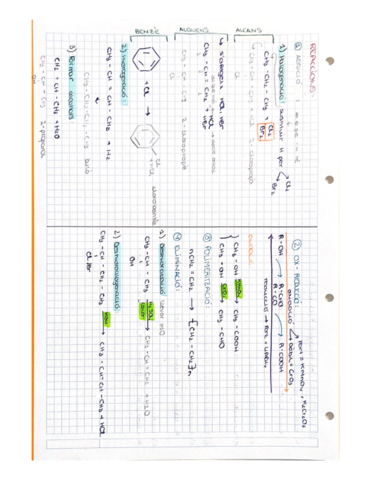 FORMULACIO-ORGANCIA.pdf
