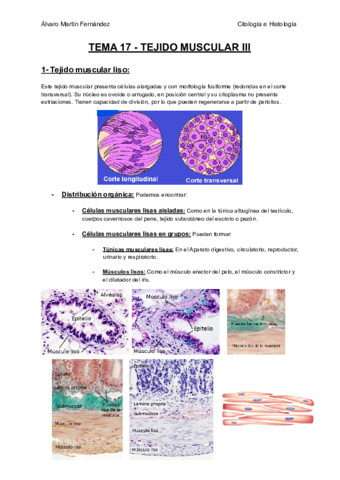 TEMA-17-TEJIDO-MUSCULAR-III.pdf
