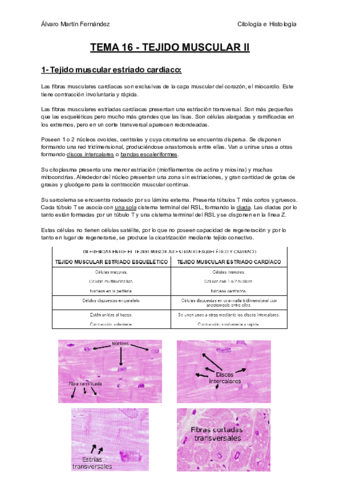 TEMA-16-TEJIDO-MUSCULAR-II.pdf