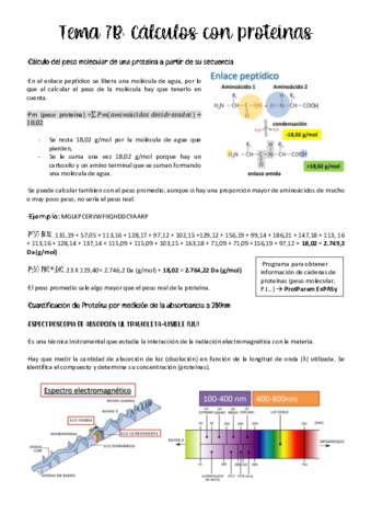 tema-7b-BIOQUIMICA.pdf
