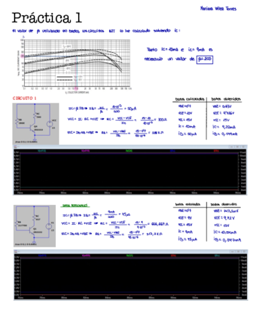 Practica-1-1.pdf