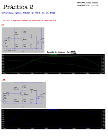 P2.pdf