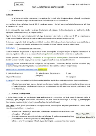 TEMA-11.pdf