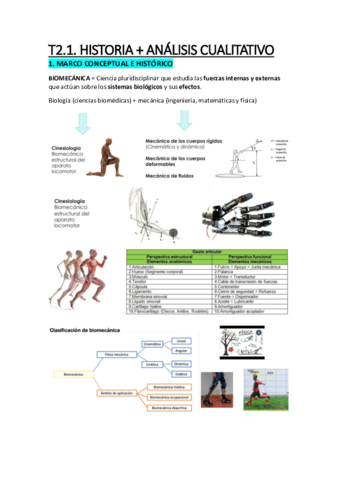 APUNTES-T2.1 HISTORIA Y A.CUALITATIVO
