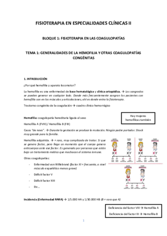 FISIOTERAPIA-EN-ESPECIALIDADES-CLINICAS-II-TEORIA.pdf