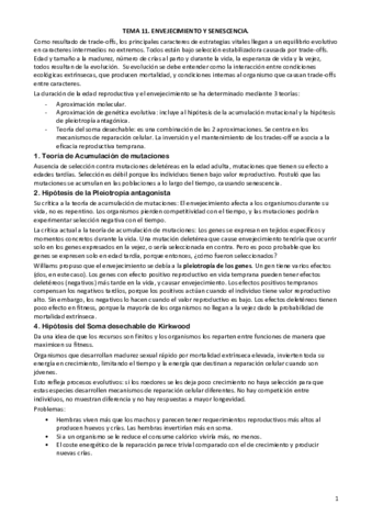 TEMA-11.pdf