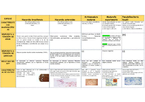 Agentes-micoticos.pdf