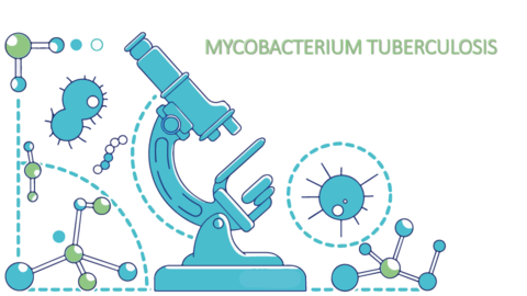 Mycobacterium-Tuberculosis.pdf