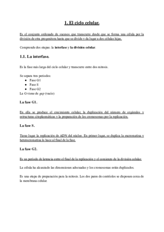 El ciclo celular.