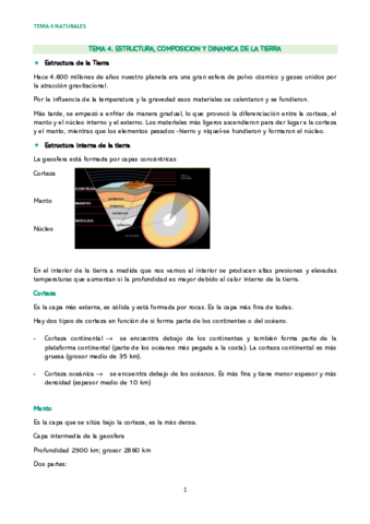 TEMA-4.pdf