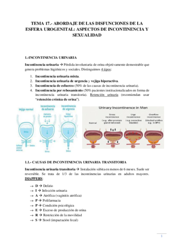 Tema-17.pdf