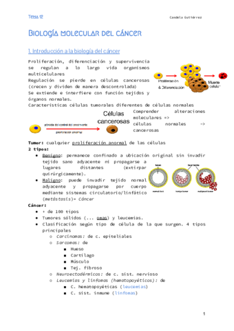 Biologia-molecular-Tema-12.pdf