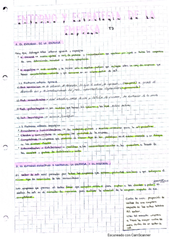 TEMA-3.pdf