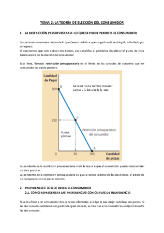 TEMA-2.pdf