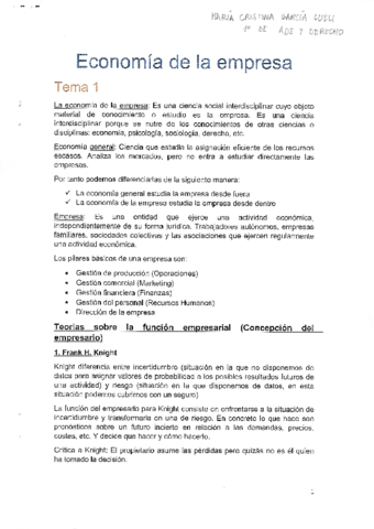 Resumen Economía de la Empresa Completo.pdf