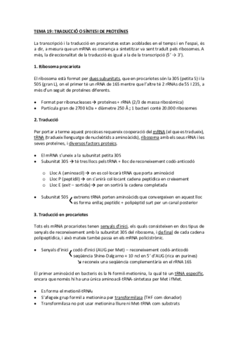 tema 19 traducció.pdf