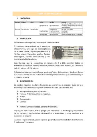 TEMA-12.pdf