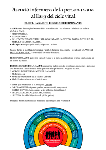 PERSONA-SANA 1r semestre.pdf