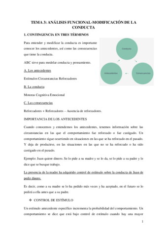 TEMA-3.pdf
