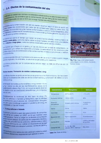 documento-efectos-de-la-contaminacion.pdf