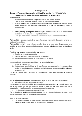 Psicologia-Social.pdf