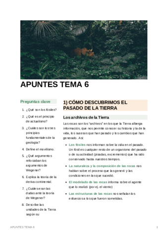 APUNTESTEMA6-3.pdf