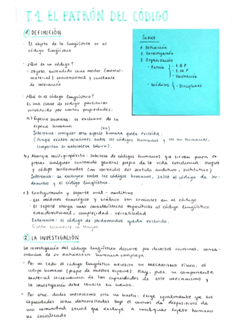 T1.PatrónCódigo.pdf