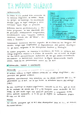 T3. Módulo silábico.pdf
