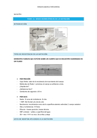TEMA-11-Natacion-.pdf