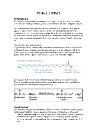 TEMA-3-BIOQUIMICA.pdf