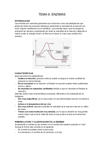 TEMA-6-BIOQUIMICA-.pdf