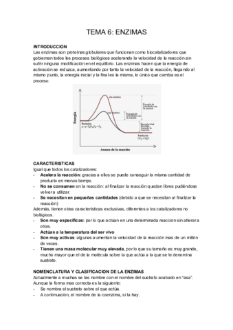 TEMA-6-BIOQUIMICA-.pdf