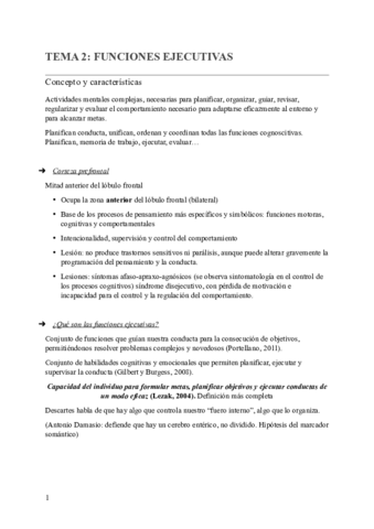 TEMA-2-FUNCIONES-EJECUTIVAS-.pdf