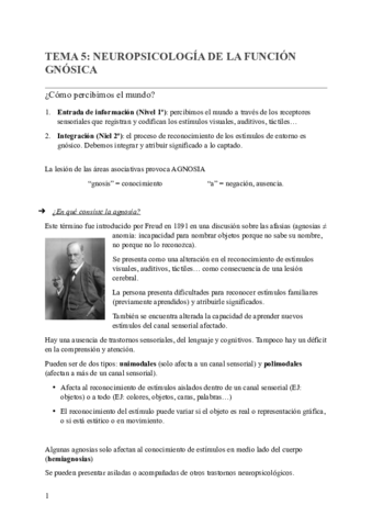 TEMA-5-NEUROPSICOLOGIA-DE-LA-FUNCION-GNOSICA.pdf