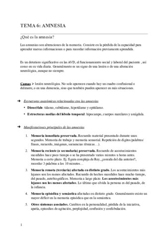 TEMA-6-AMNESIA.pdf