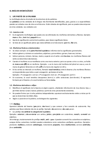 Analisis-morfo-apuntes-simplificado1.pdf