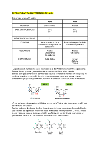 ESTRUCTURA-Y-CARACTERISTICAS-DEL-ARN.pdf