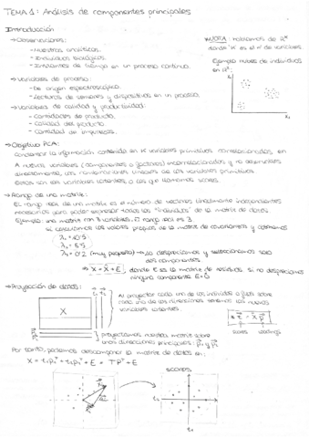 Tema1-PCA.pdf