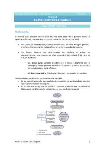 Tema-13-Trastornos-del-lenguaje.pdf