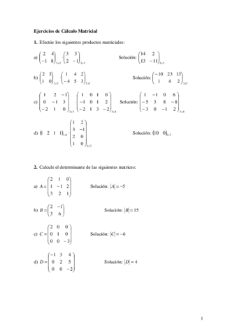 Ejercicios Cálculo Matricial.pdf