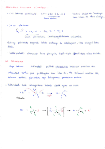 Ordezkapen-nukleozalea.pdf