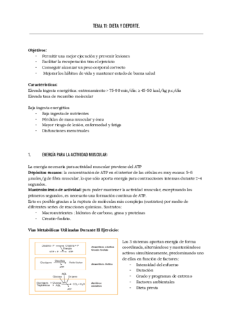 TEMA-11-DIETA-Y-DEPORTE.pdf