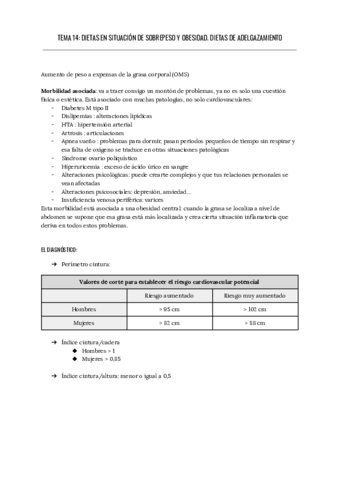 TEMA-14-DIETAS-EN-SITUACION-DE-SOBREPESO-Y-OBESIDAD.pdf