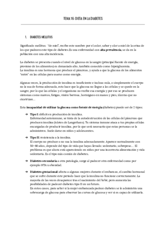 TEMA-16-DIETA-EN-LA-DIABETES.pdf