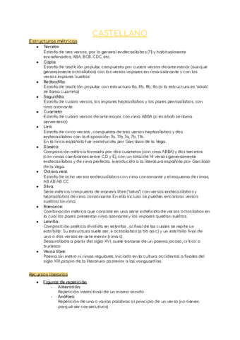 Apuntes-caste-1oBACH-curso-entero.pdf
