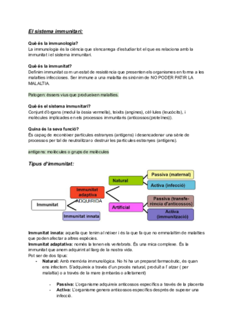 El-sistema-immunitari.pdf