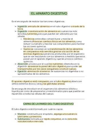 EL-APARATO-DIGESTIVO.pdf