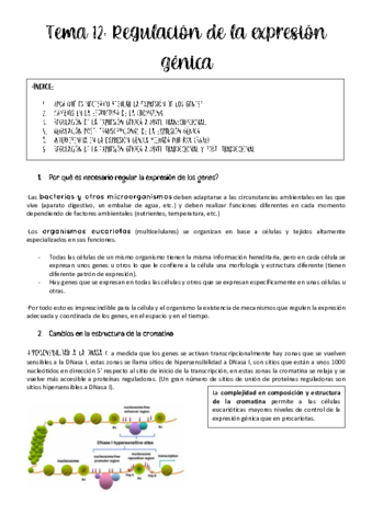 tema-12-genetica.pdf